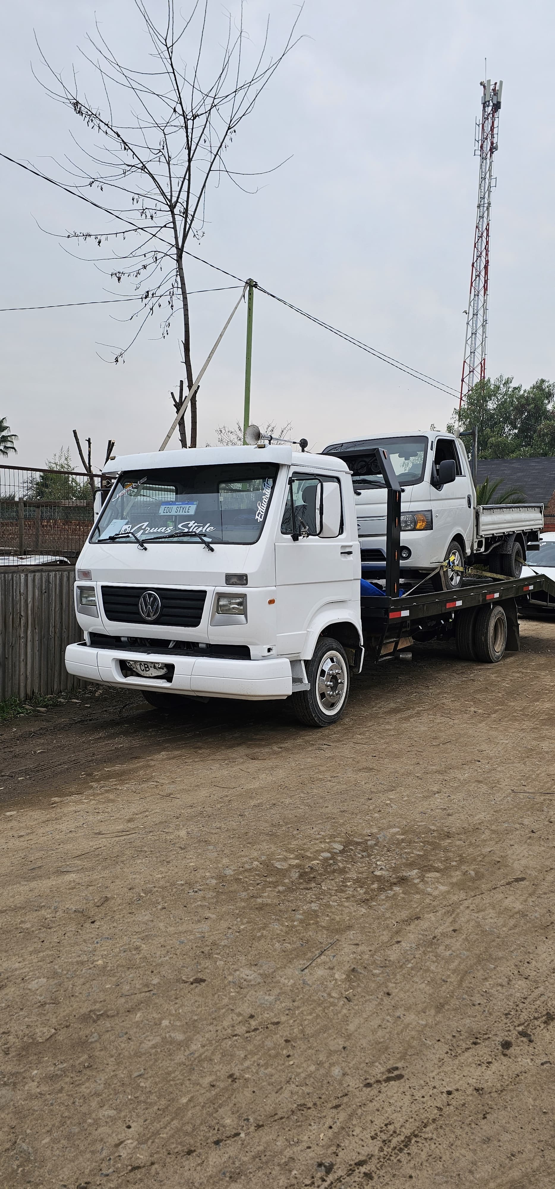 Grúa Style Servicio 9